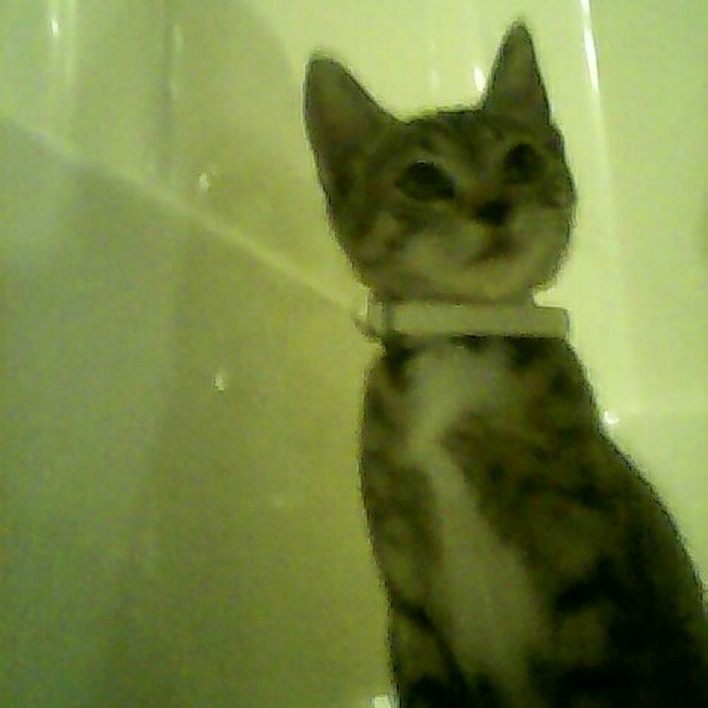 Meet your Posher, Shirley